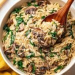 Creamy Garlic Mushroom Orzo Recipe