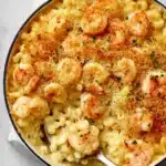 Garlic Shrimp Mac and Cheese Recipe