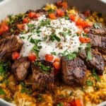 Steak Queso Rice Recipe