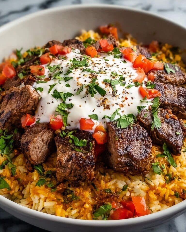 Steak Queso Rice Recipe