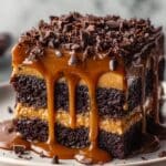 Chocolate Caramel Dump Cake Recipe