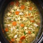 Slow Cooker Chicken Noodle Soup Recipe