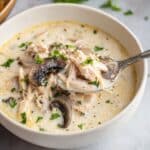 Creamy Rotisserie Chicken Mushroom Soup Recipe