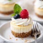 Mini Cheesecake Cups Recipe