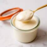 Vegan Mayo (Thick and Creamy) Recipe