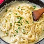 Creamy Cottage Cheese Pasta Sauce Recipe