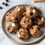 S’mores Protein Balls Recipe
